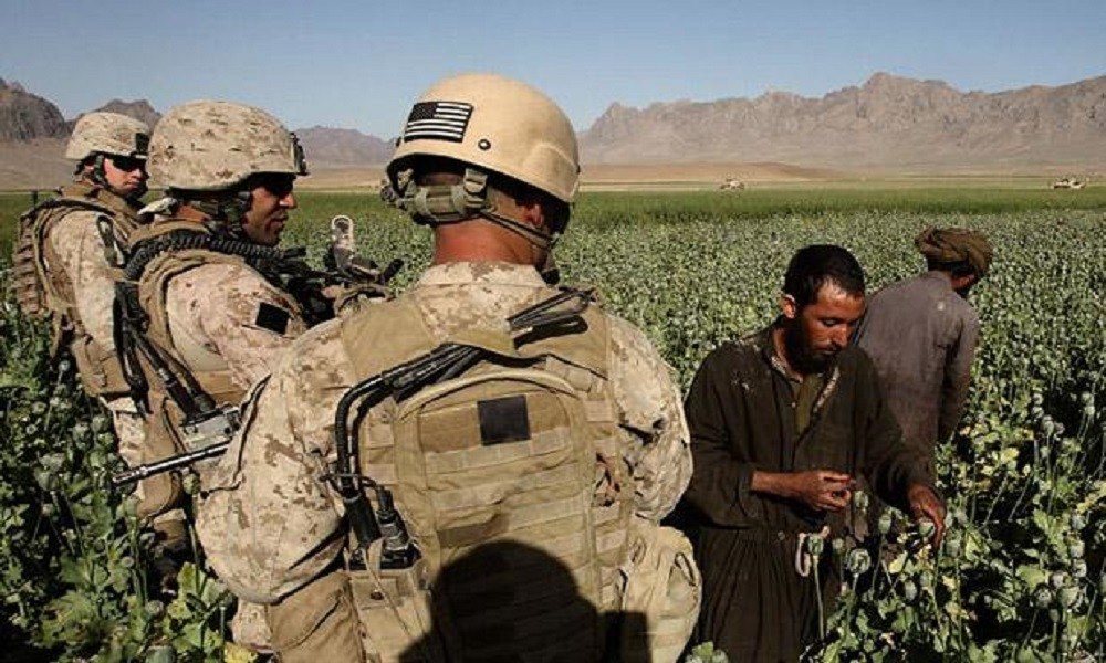 drugs in afghanistan