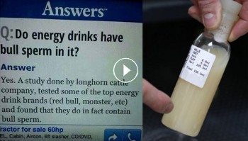 Energy Drinks Contain Ingredient Extracted From Bull Urine And Semen