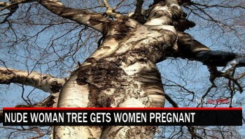 Tree That Resembles Woman