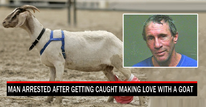 man caught with animal in act