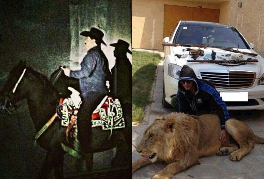 lion and drugs